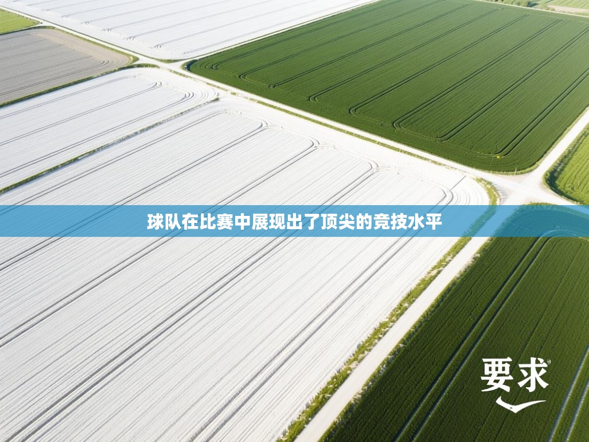球队在比赛中展现出了顶尖的竞技水平  第1张