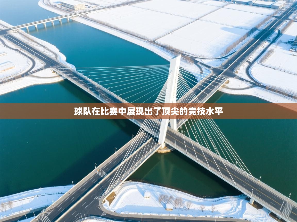 球队在比赛中展现出了顶尖的竞技水平  第2张